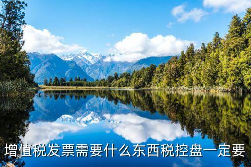 發(fā)票打印需要什么盤，調(diào)試打印增值稅發(fā)票的打印機要插入金稅盤嗎