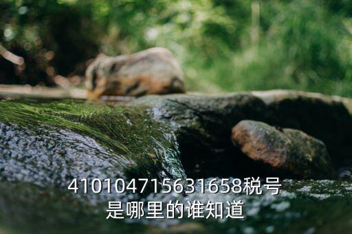 河南省的稅號(hào)是什么意思，410104715631658稅號(hào)是哪里的誰知道