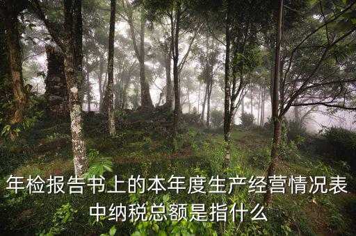 年報的納稅額看什么表，年檢報告書上的本年度生產(chǎn)經(jīng)營情況表中納稅總額是指什么