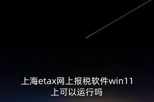 上海網(wǎng)上報(bào)稅什么軟件，上海etax網(wǎng)上報(bào)稅軟件win11上可以運(yùn)行嗎