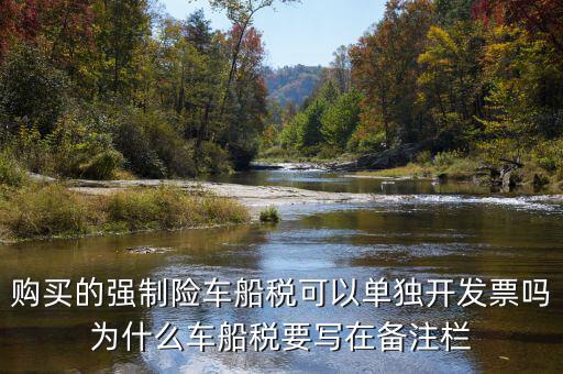 保險車船稅為什么在發(fā)票備注欄，購買的強制險車船稅可以單獨開發(fā)票嗎為什么車船稅要寫在備注欄
