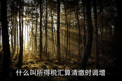 匯算清繳調(diào)增指什么，匯算清繳時全額調(diào)增利息支出說非業(yè)務(wù)往來占用資金是什么意思