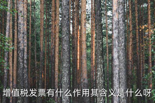要發(fā)票有什么用，發(fā)票有哪些作用呢