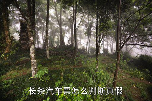 長條國稅車票什么樣子，國稅長途汽車票什么樣