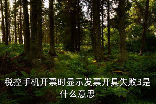 稅控手機(jī)開票時(shí)顯示發(fā)票開具失敗3是什么意思