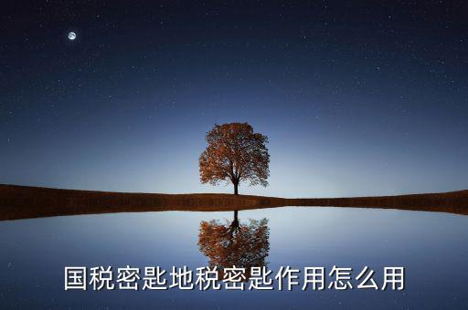 地稅密鑰是干什么的，國稅密匙地稅密匙作用怎么用