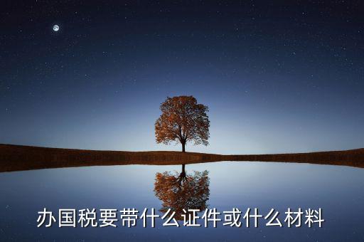 新辦國稅需要什么資料，第一次買國稅發(fā)票需要些什么手續(xù)