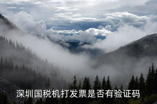 為什么用微信深圳國稅，深圳寶安區(qū)的騰訊網(wǎng)財(cái)務(wù)負(fù)責(zé)人是誰