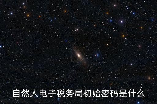 自然人電子稅務(wù)局初始密碼是什么