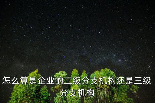 怎么算是企業(yè)的二級(jí)分支機(jī)構(gòu)還是三級(jí)分支機(jī)構(gòu)