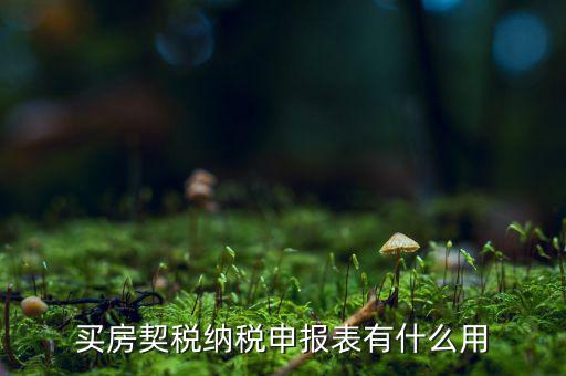 買(mǎi)房契稅納稅申報(bào)表有什么用