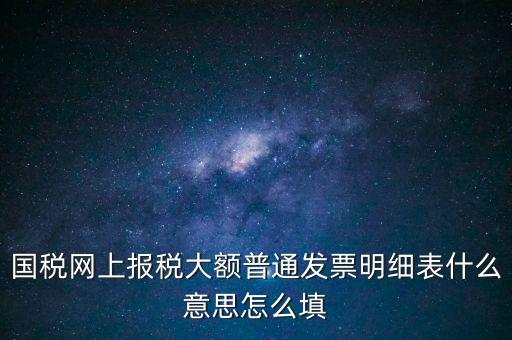 國稅網上報稅大額普通發(fā)票明細表什么意思怎么填