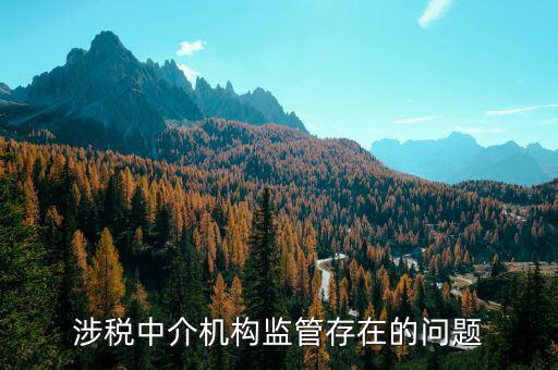 社會(huì)組織涉稅方面有什么問(wèn)題，涉稅中介機(jī)構(gòu)監(jiān)管存在的問(wèn)題