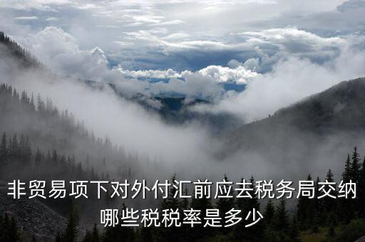 為什么非貿(mào)易付匯要繳稅，公司剛剛做了筆非貿(mào)易付匯紅利股息匯出問一下匯出金額是要扣