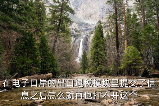 為什么退稅平臺(tái)進(jìn)不去，在電子口岸的出口退稅模塊里提交了信息之后怎么就再也打不開(kāi)這個(gè)