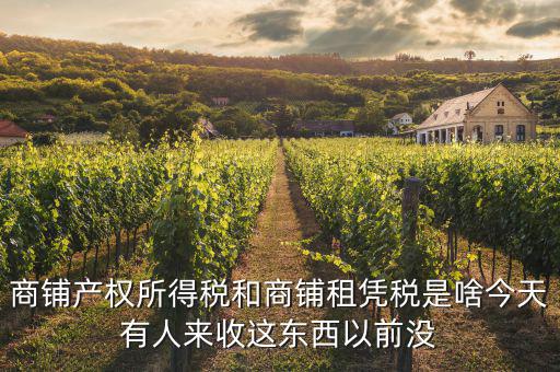 什么是商鋪?zhàn)赓U稅，商鋪出租應(yīng)交哪些稅