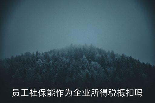 企業(yè)社?？梢缘质裁炊悾瑔T工社保能作為企業(yè)所得稅抵扣嗎