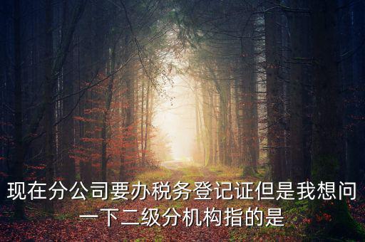 現(xiàn)在分公司要辦稅務(wù)登記證但是我想問一下二級(jí)分機(jī)構(gòu)指的是