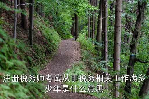 稅務(wù)從業(yè)人數(shù)是什么意思，請問稅務(wù)自查表中的查 數(shù)是什么意思急