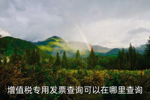 在什么網(wǎng)站查發(fā)票，發(fā)票查驗在哪里查