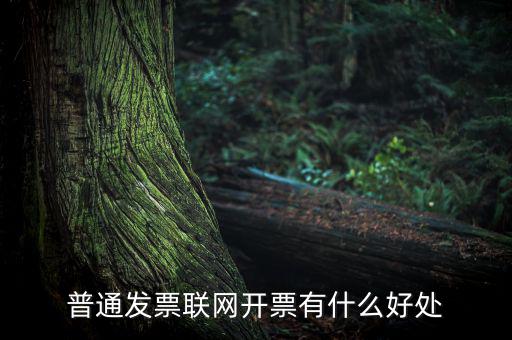 普通網(wǎng)絡(luò)發(fā)票有什么用，開普通發(fā)票網(wǎng)絡(luò)受理號有什么作用
