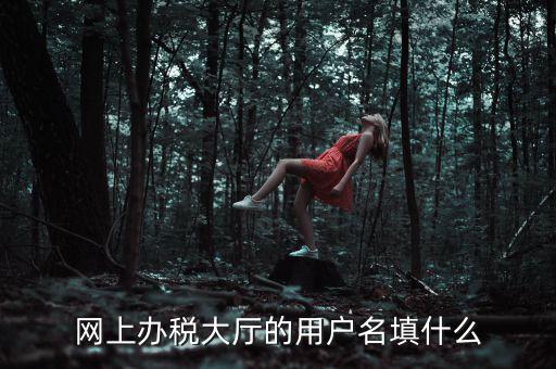 網(wǎng)上辦稅大廳的用戶名填什么