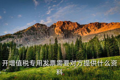 開(kāi)增值稅專用票需要對(duì)方提供什么資料，銷售方開(kāi)具增值稅專用發(fā)票需要對(duì)方提供什么資料