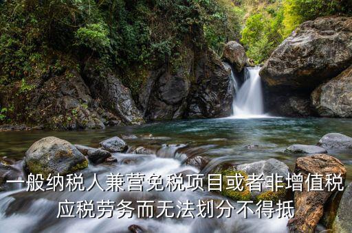 一般納稅人兼營(yíng)免稅項(xiàng)目或者非增值稅應(yīng)稅勞務(wù)而無(wú)法劃分不得抵