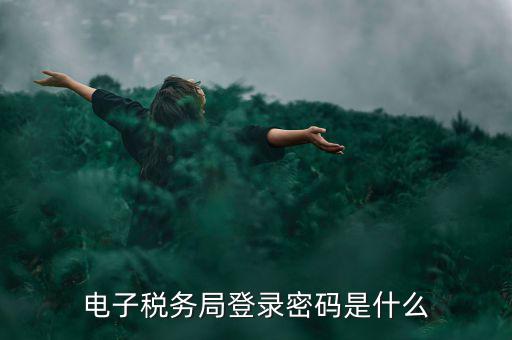 電子稅務局登錄密碼是什么