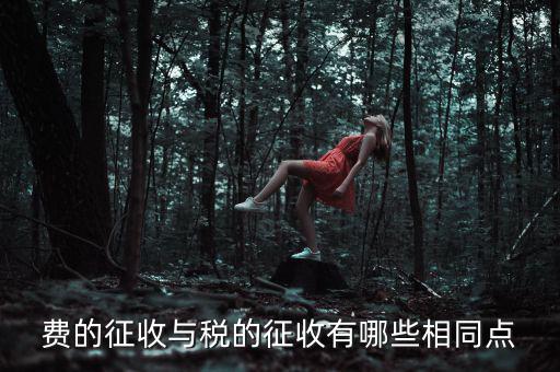 稅與費有什么區(qū)別 稅收具有，費的征收與稅的征收有哪些相同點