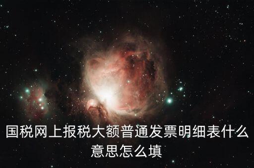 發(fā)票里的明細(xì)是什么意思，國(guó)稅網(wǎng)上報(bào)稅大額普通發(fā)票明細(xì)表什么意思怎么填