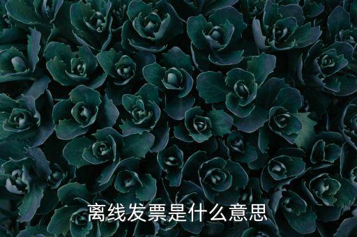 離線開(kāi)票什么意思，離線發(fā)票是什么意思