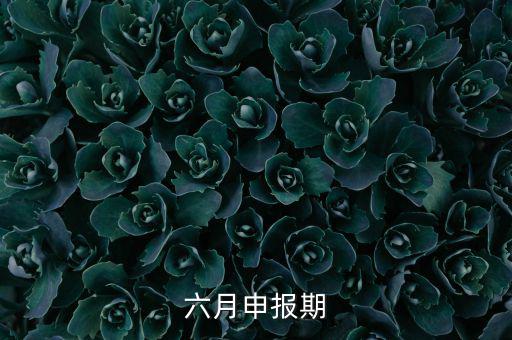 6月申報(bào)期是什么意思，個(gè)人所得稅申報(bào)期是每月15號(hào)嗎