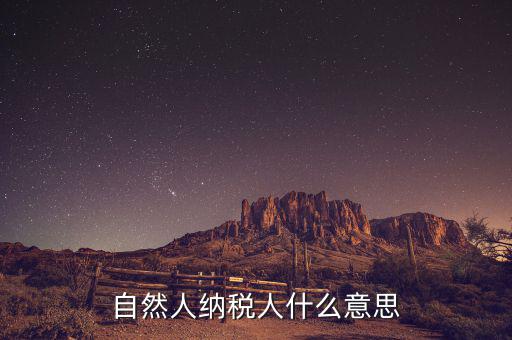 什么是自然人辦稅，自然人納稅人什么意思