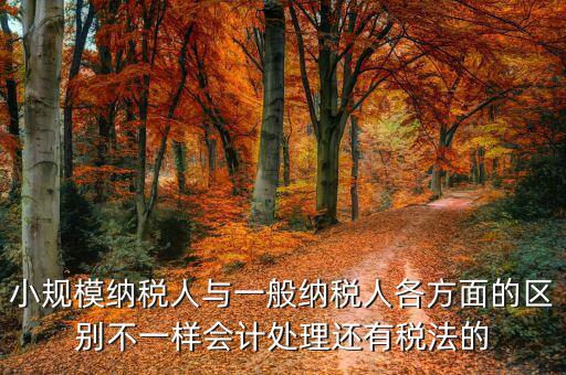 小規(guī)模納稅人與一般納稅人各方面的區(qū)別不一樣會計(jì)處理還有稅法的