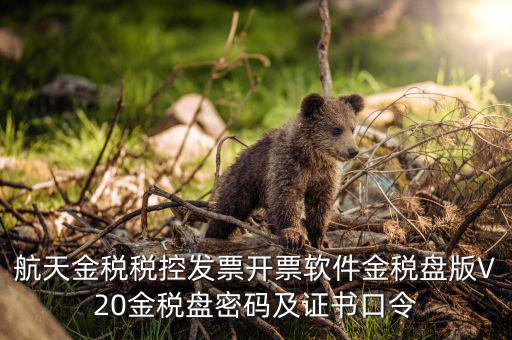 新稅盤證書口令是什么，金稅盤初始密碼和口令是多少