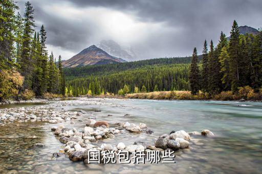 什么屬于國(guó)稅，什么樣的經(jīng)營(yíng)范圍屬于國(guó)稅