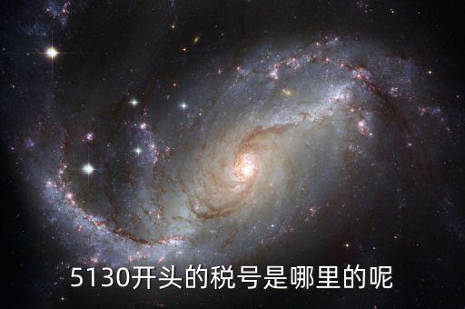 5130開(kāi)頭的稅號(hào)是哪里的呢