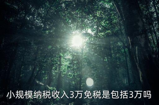 3萬(wàn)免稅是指什么，小規(guī)模納稅收入3萬(wàn)免稅是包括3萬(wàn)嗎