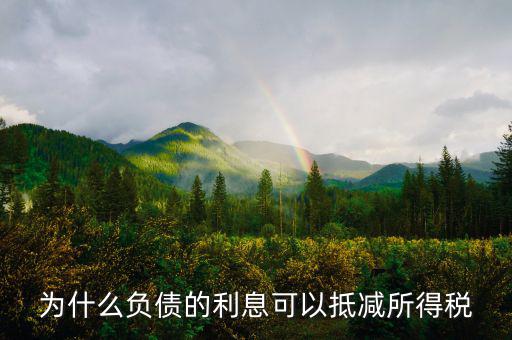 企業(yè)負(fù)債時(shí)稅率有什么優(yōu)惠，企業(yè)所得稅優(yōu)惠政策有哪些