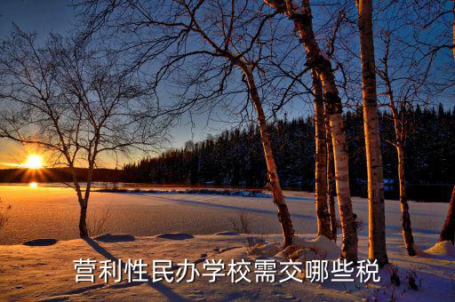 學校要交什么稅，營利性民辦學校需交哪些稅