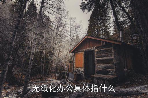 國(guó)稅無(wú)紙化辦公是什么意思，無(wú)紙化辦公具體指什么