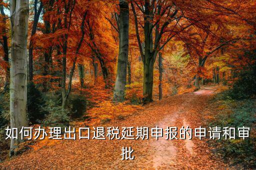 出口退稅申報(bào)延期需要什么資料，如何辦理出口退稅延期申報(bào)的申請(qǐng)和審批