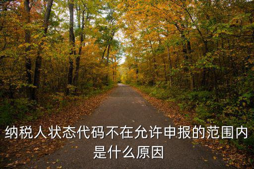 納稅人狀態(tài)代碼不在允許申報(bào)的范圍內(nèi) 是什么原因