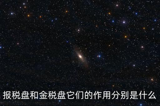 報稅盤做什么用的，報稅盤和金稅盤它們的作用分別是什么