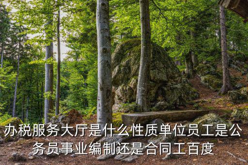 什么是辦稅服務(wù)大廳，辦稅服務(wù)廳的基本服務(wù)包括哪些