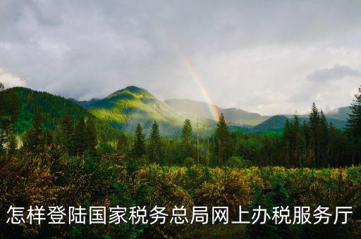 稅務(wù)局登錄什么瀏覽器可以，怎樣登陸國(guó)家稅務(wù)總局網(wǎng)上辦稅服務(wù)廳