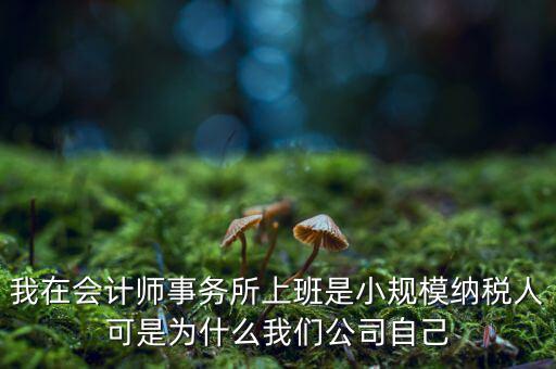 我在會計(jì)師事務(wù)所上班是小規(guī)模納稅人可是為什么我們公司自己