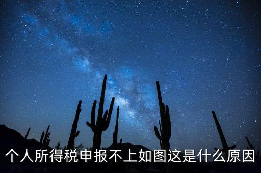 個稅申報不成功什么原因，個人所得稅申報不上如圖這是什么原因