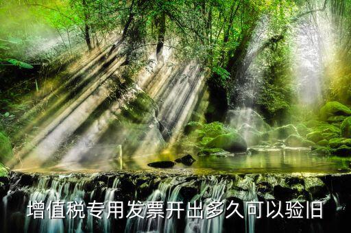 增值稅專(zhuān)用發(fā)票開(kāi)出多久可以驗(yàn)舊